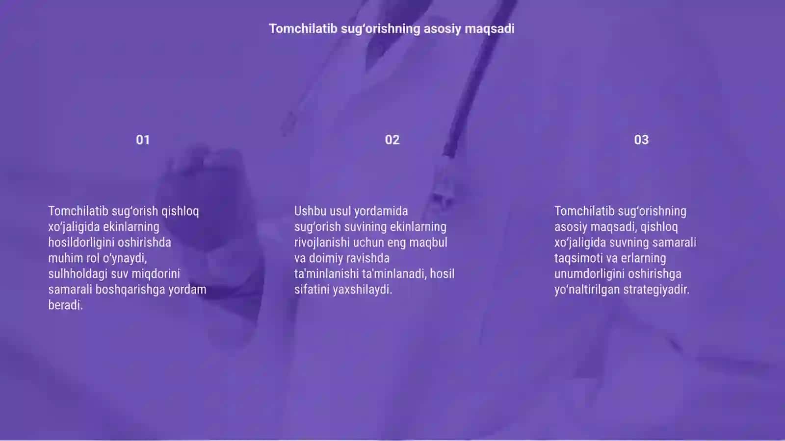 Tomchilatib sugʻorishda qishloq xoʻjalig ekinlarni hosildorligi 3