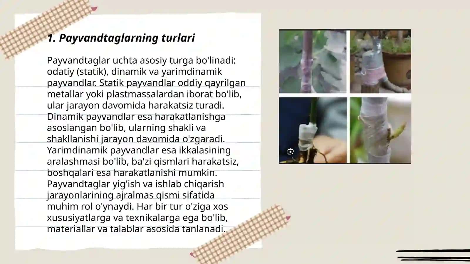 Meva ekinlarining asosiy payvandtaglari 3