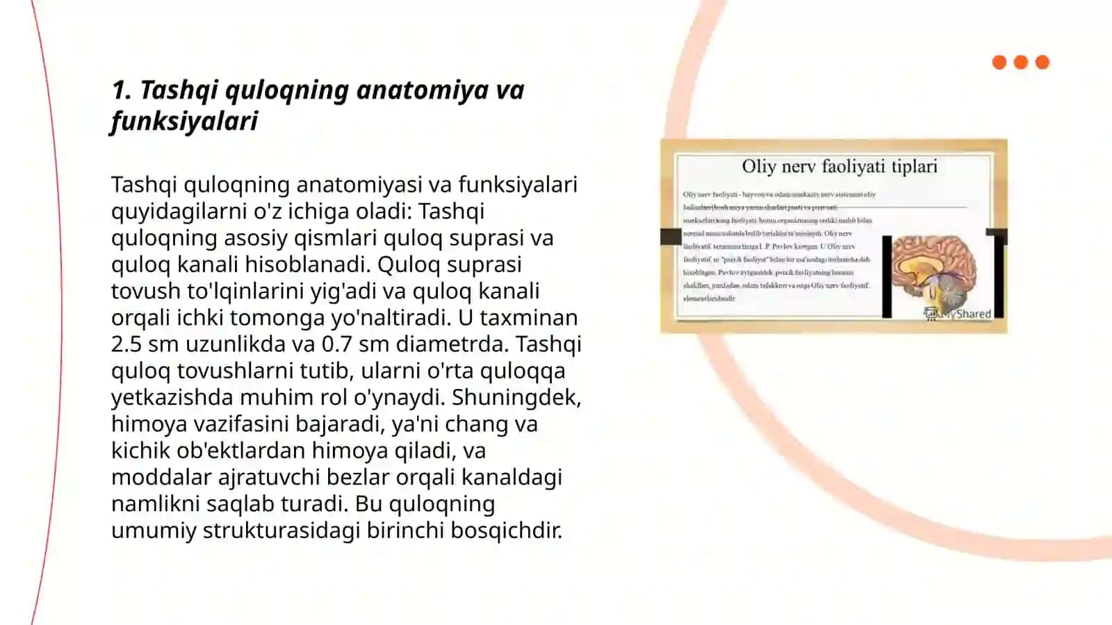 Tashqi quloq anatomiya va funksiyalari 3