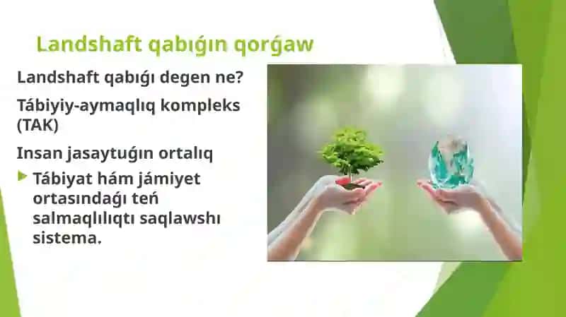 Landshaft qabıǵı 3