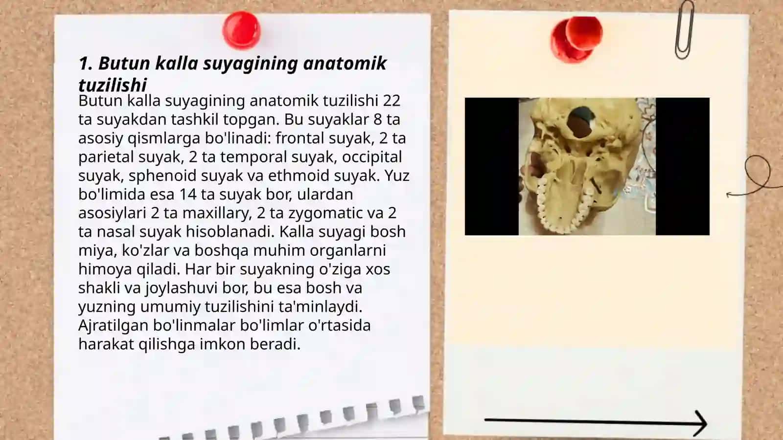 Butun kalla suyagi 3