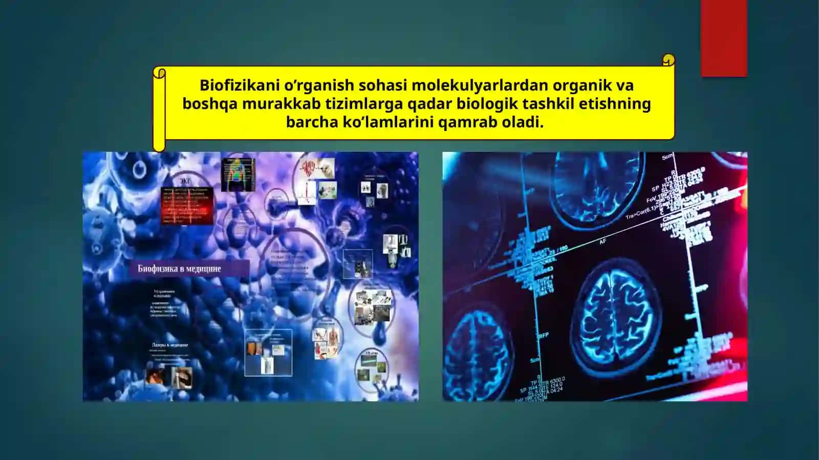 Xatolar nazariyasi elementlari 3