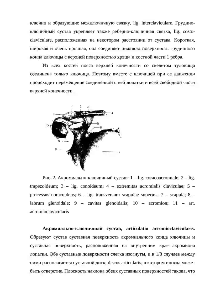 Соединения костей верхней конечности 3