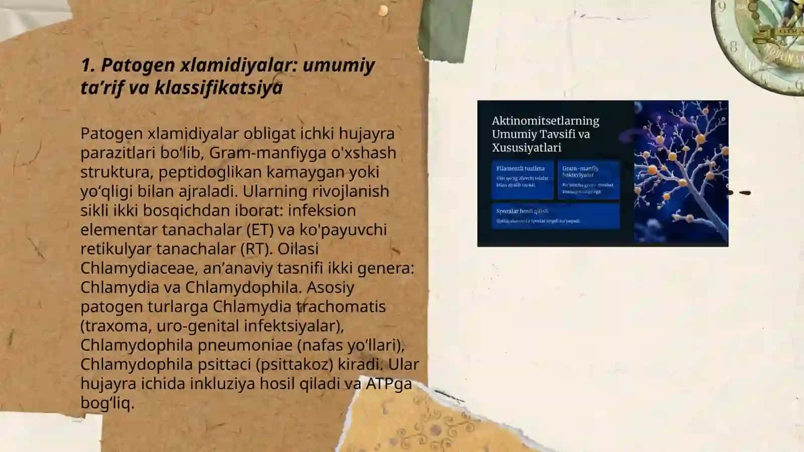 Patogen xlamidiyalar: umumiy ta'rif va klassifikatsiya 3