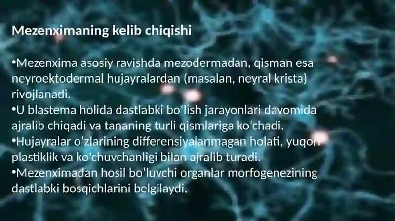 Mezenximaningtuzilishi va ahamiyati 3