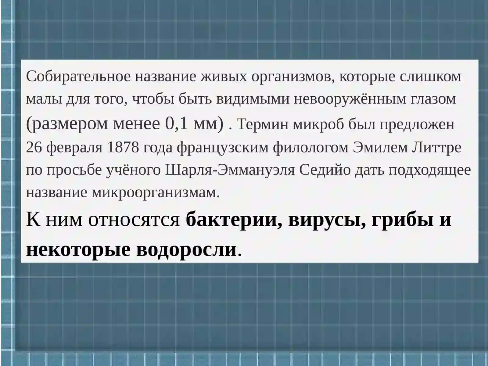 МИКРООРГАНИЗМЫ 3