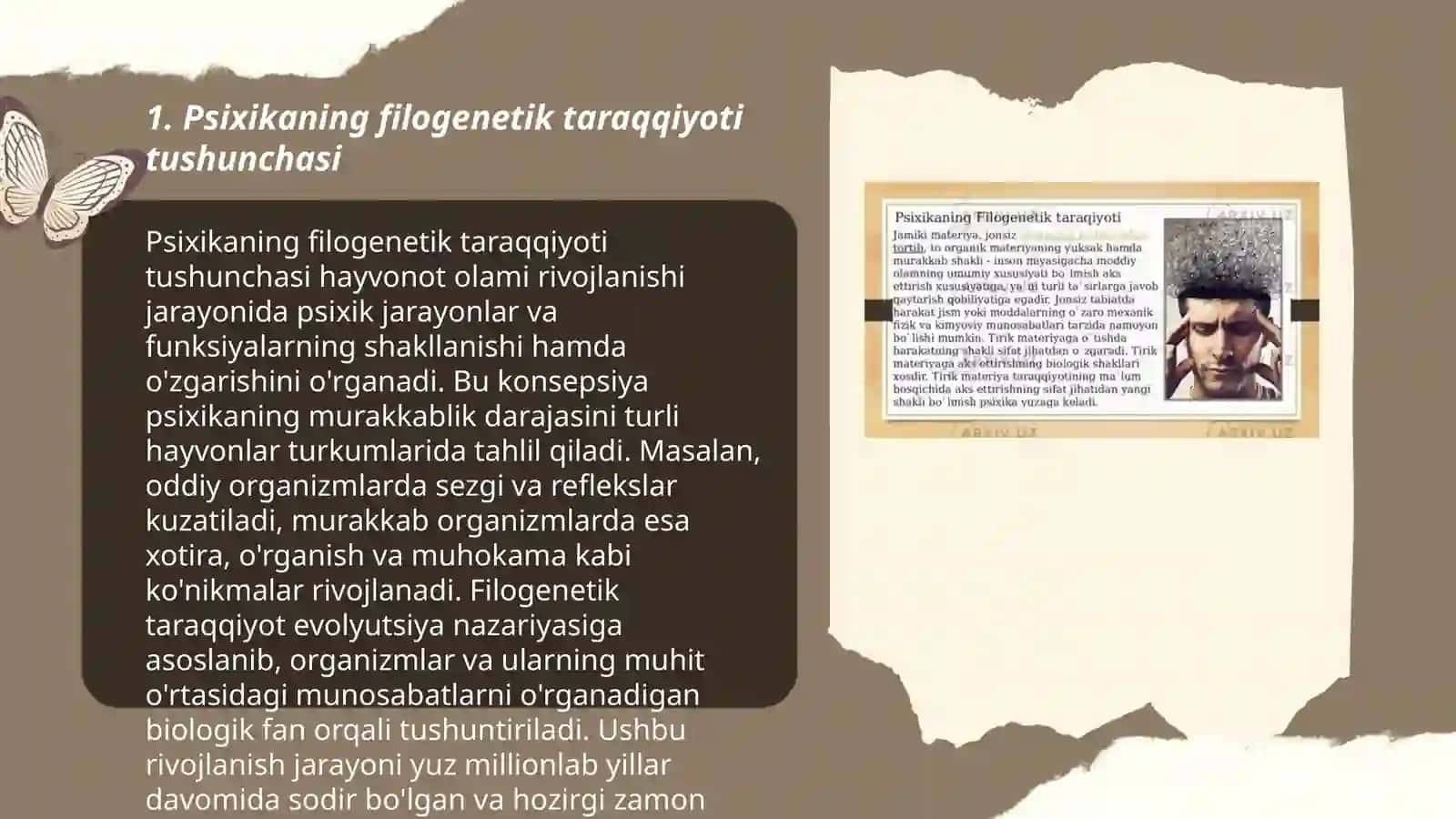 Psixikaning filogenetik taraqqiyoti 3