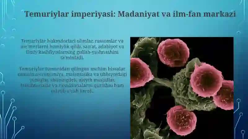 Temuriylar imperiyasi: Ilm-fan va madaniyat beshigi 3