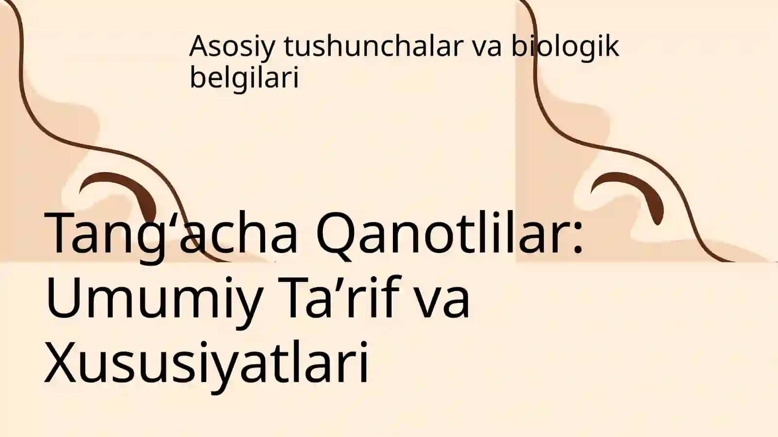 Tangʻacha Qanotlilar 3