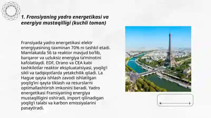 Fransiya SWOT tahlili 3