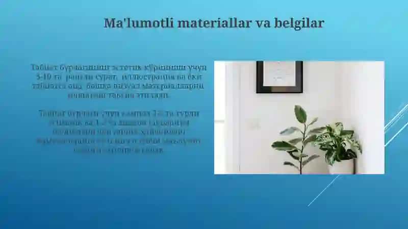 Tabiat burchagiga qoyiladigan talablar 3