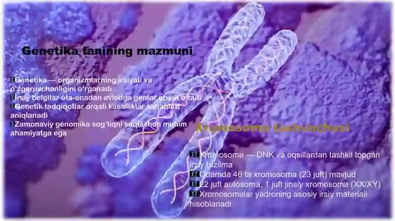 Odam xromosoma, genom va gen kasalliklari 3