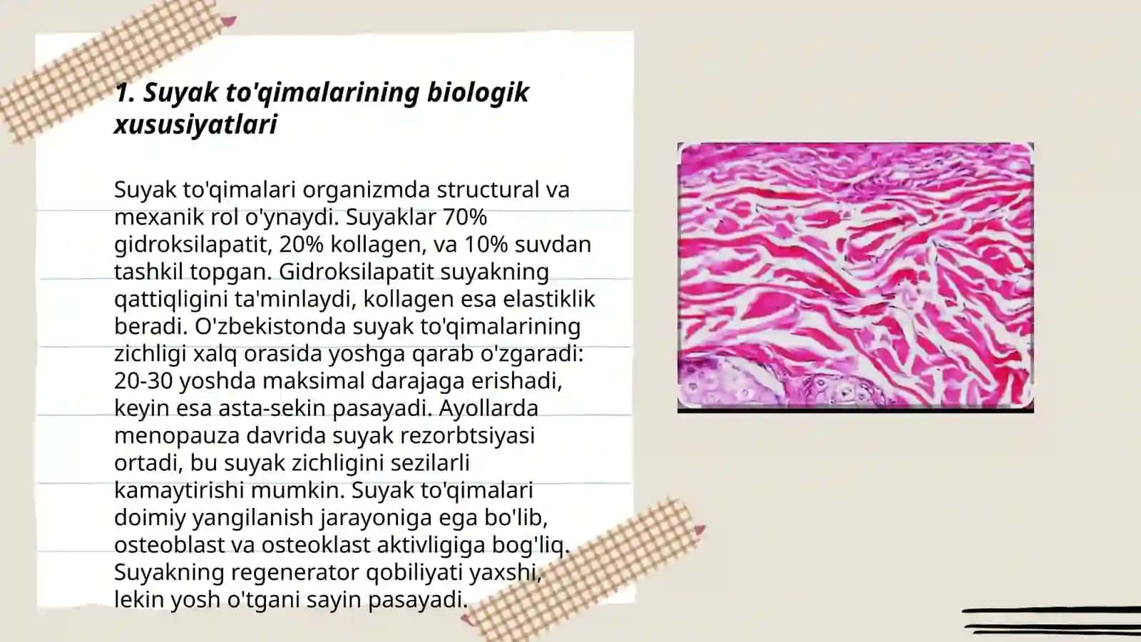 Suyak to'qimalarining biologik xususiyatlari 3