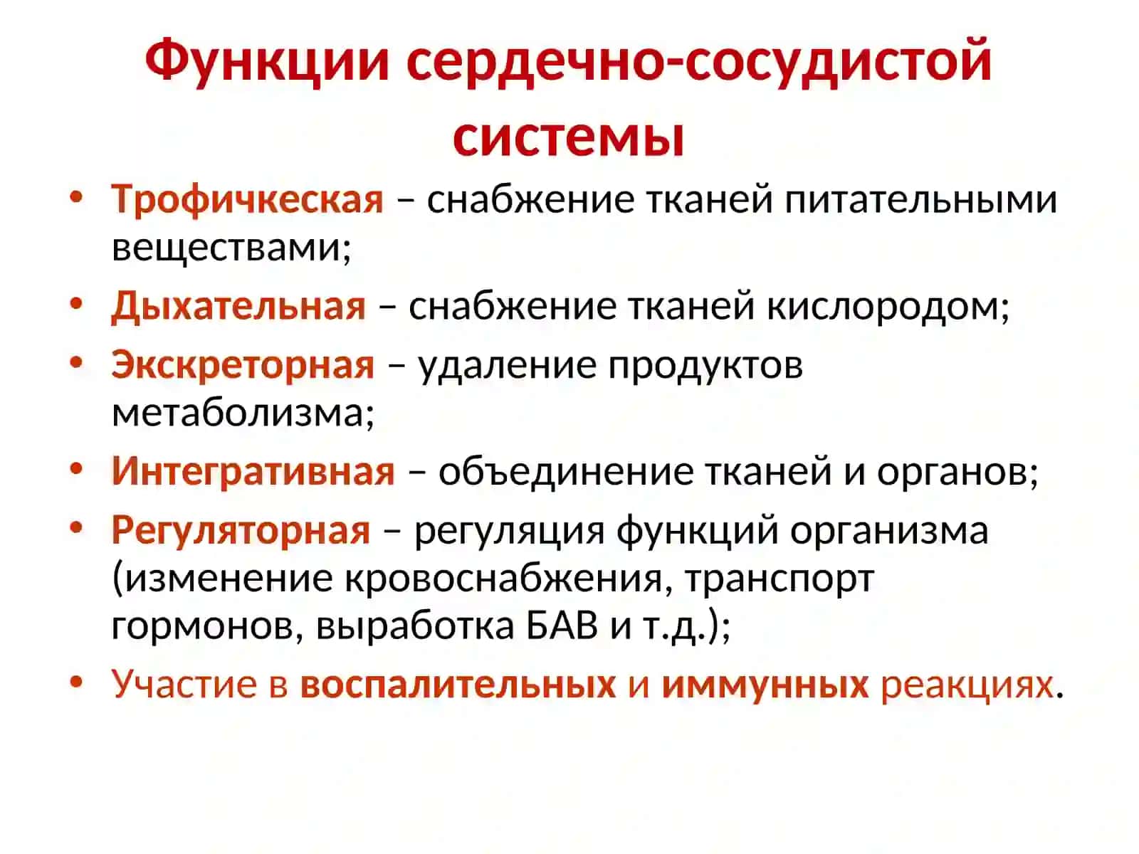 Сердечно-сосудистая система 3