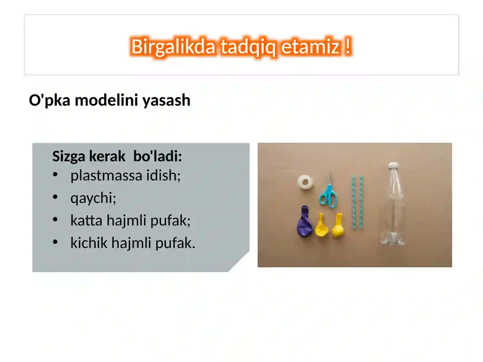 Nafassistemasi 3