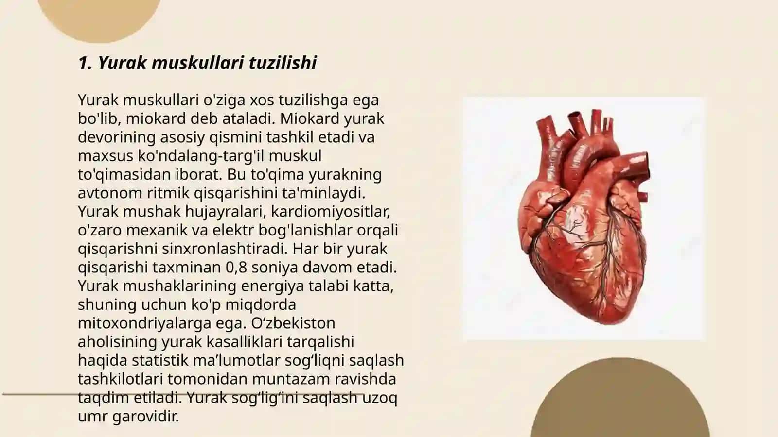 Yurak mushagi regeniratsiyasi 3