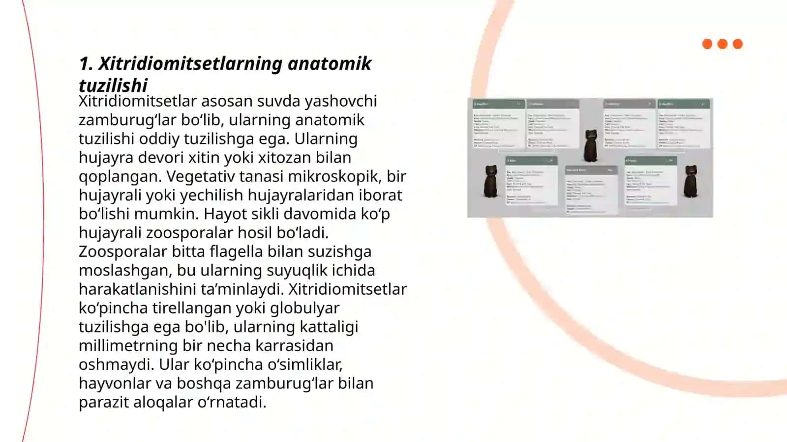Xitridiomitsetlar sinfi 3