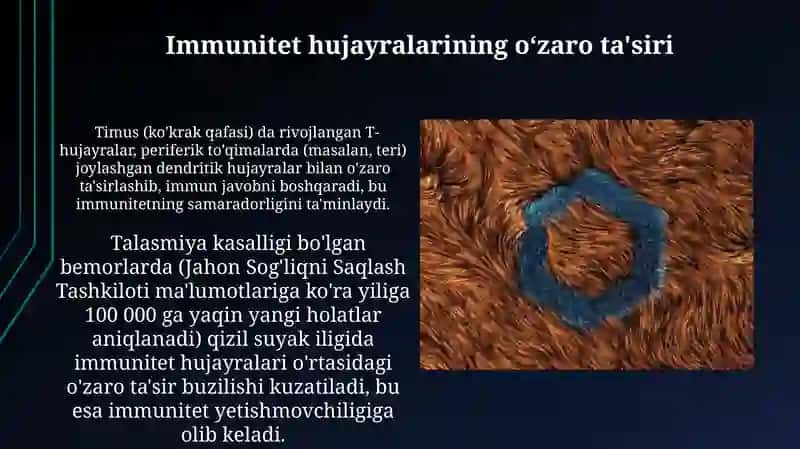 Immun himoya reaksiyalarining morfologik asoslari 3