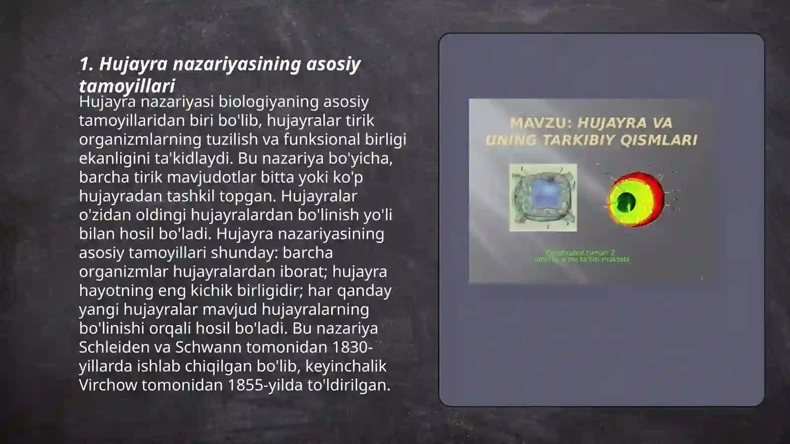 Hujayra nazariyasi 3