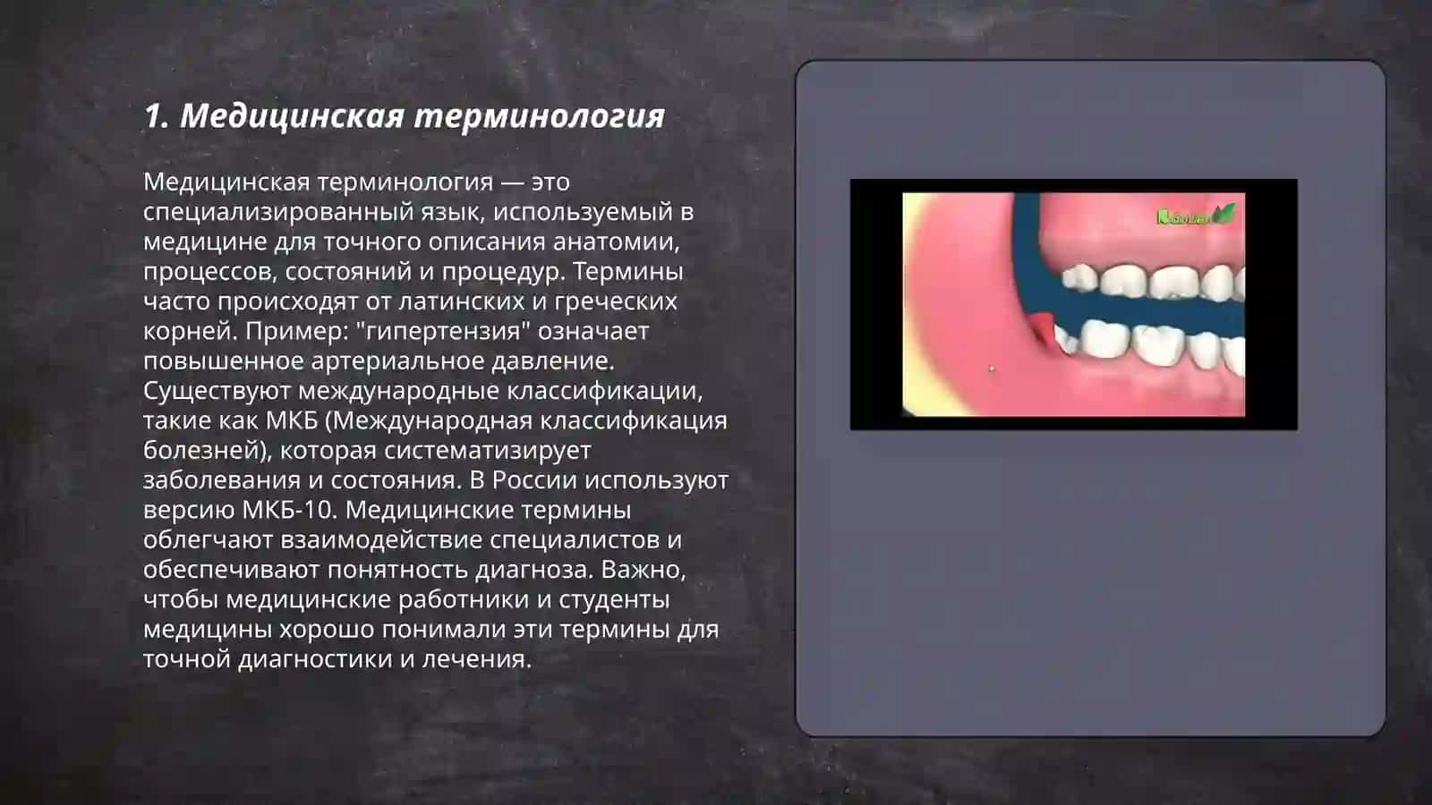Профиссанальный язик врвча 3
