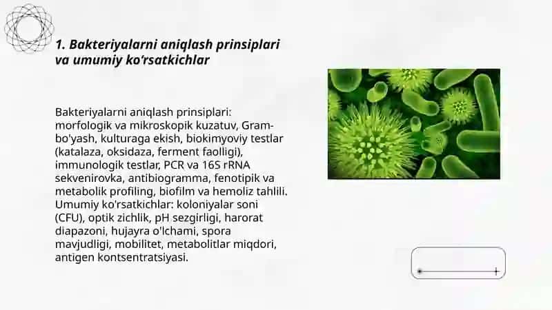Bakteriyalar Berji aniqlagichi 3