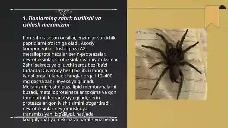 Ilonlarning zahri: tuzilishi va ishlash mexanizmi 3