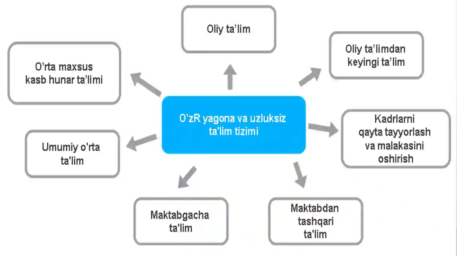 Oliy ta’lim 3