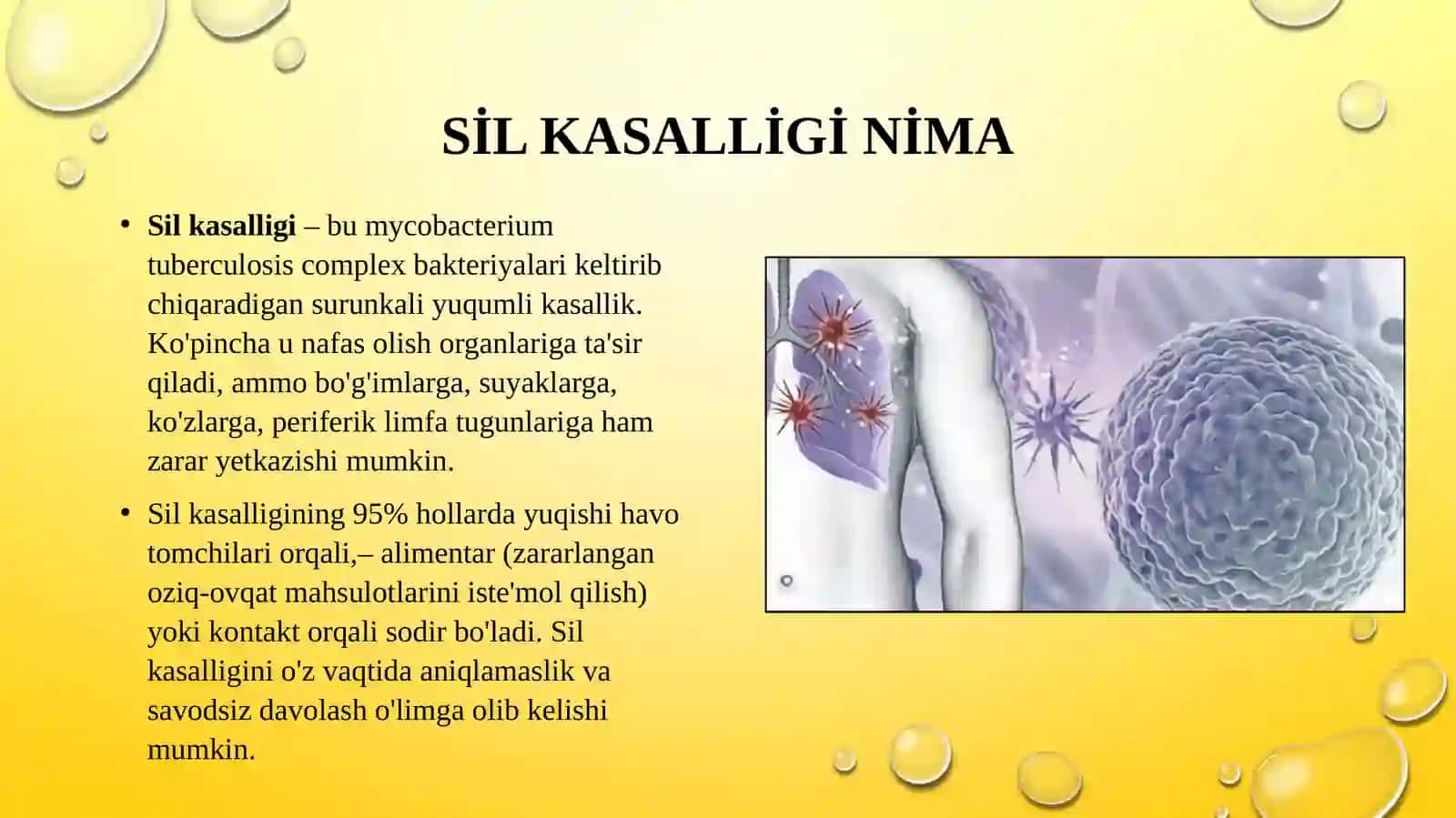 Sil kasalligıda gospital ta’limni tashkil etish 3