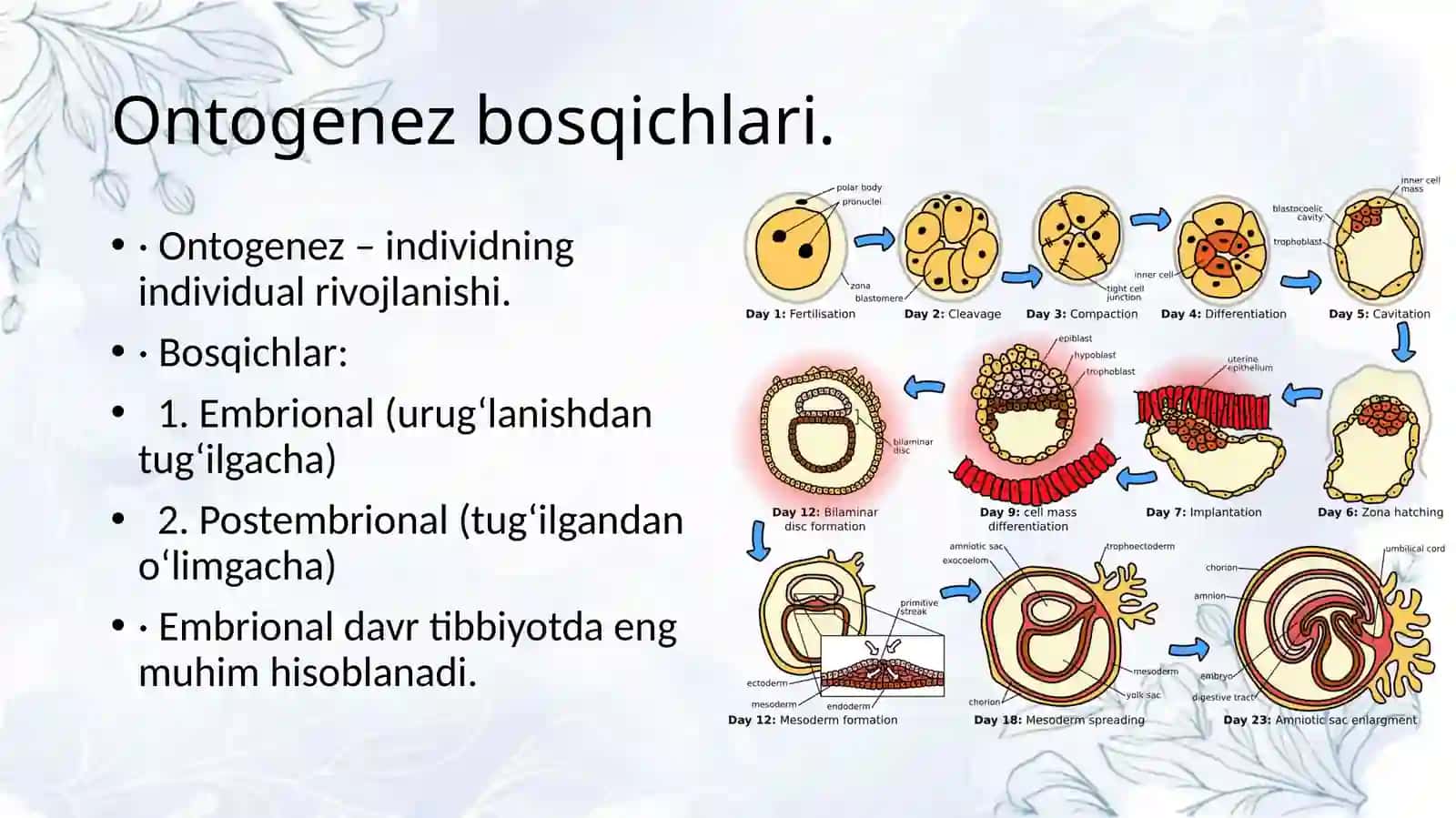 Tibbiy biologiya. Umumiy genetika 3