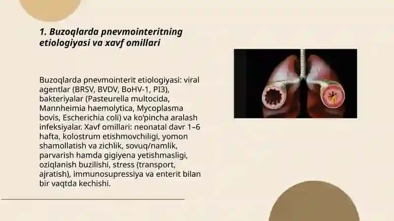 Buzoqlarning pnevmointerit kasalligi va differenciyallash 3