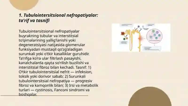 Tubulointersitsional nefropatiyalar 3