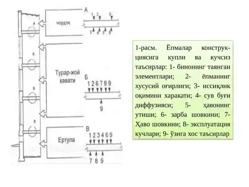 Бино йопма кўчатмалари 3