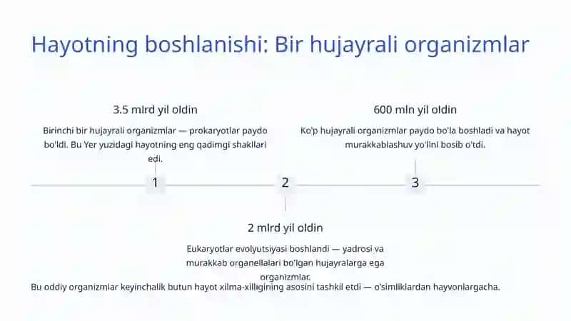 Filogenez: Hayotning Evolyutsion Rivojlanishi 3