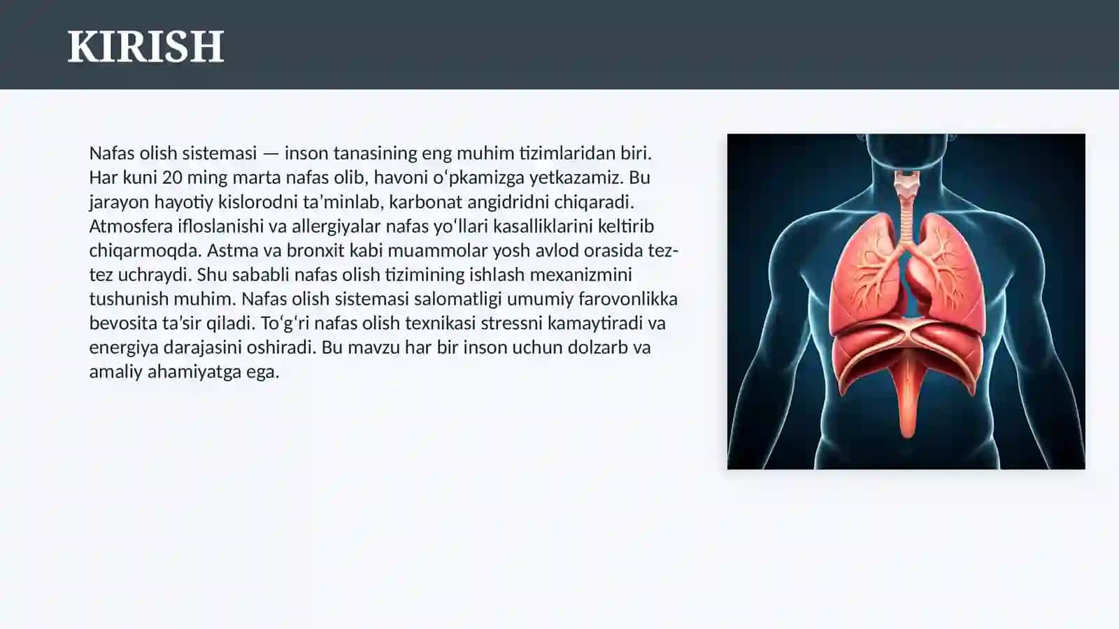 NAFAS OLISH SISTEMASI 3
