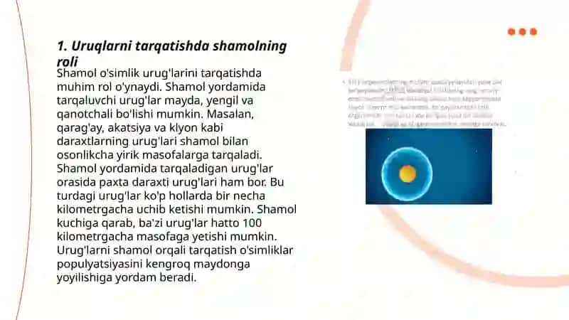 Uruqlarni tarqatishda shamolning roli 3