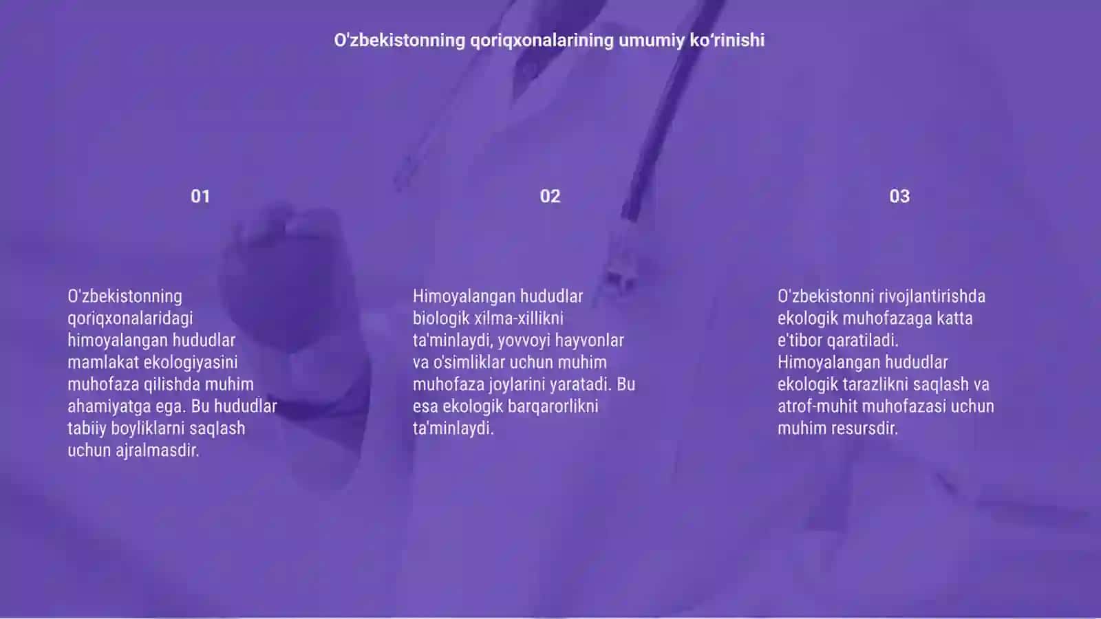 O'zbekistonning qoriqxonalaridagi himoyalangan hududlar 3