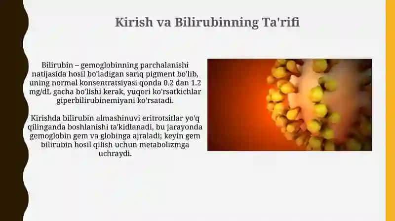 Bilirubin almashinuvi 3