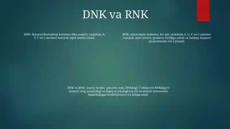 DNK va RNK 3