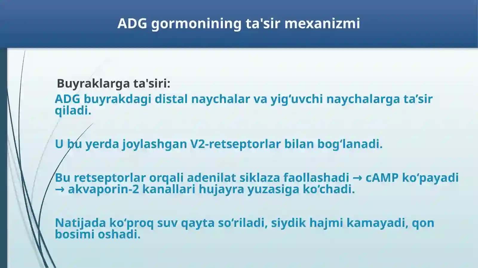 ADG Gormonining Vazifalari 3