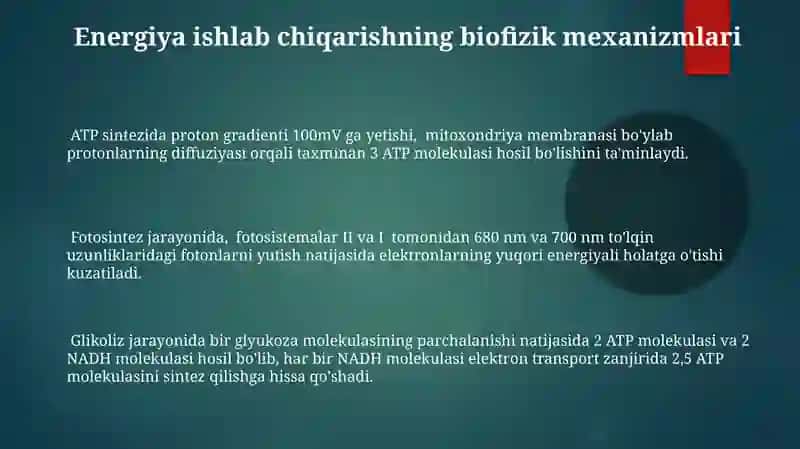 Moddalar almashinuvi va energiya almashinuvi biyofizikasi 3