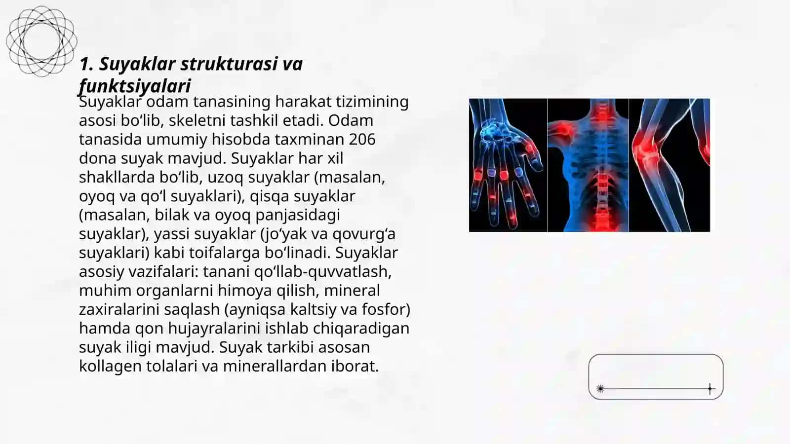 Suyaklar.Suyak turlari,bolalarda suyak kasalligi 3