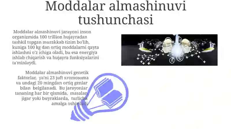 Moddalar almashinuvi turlari va bosqichlari 3