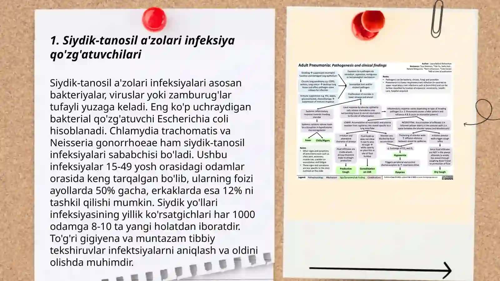 Siydik-tanosil a'zolarining nosfetsifik infeksiya qo'zg'atuvchilari, patogenezi, laboratoriya tashxisi 3