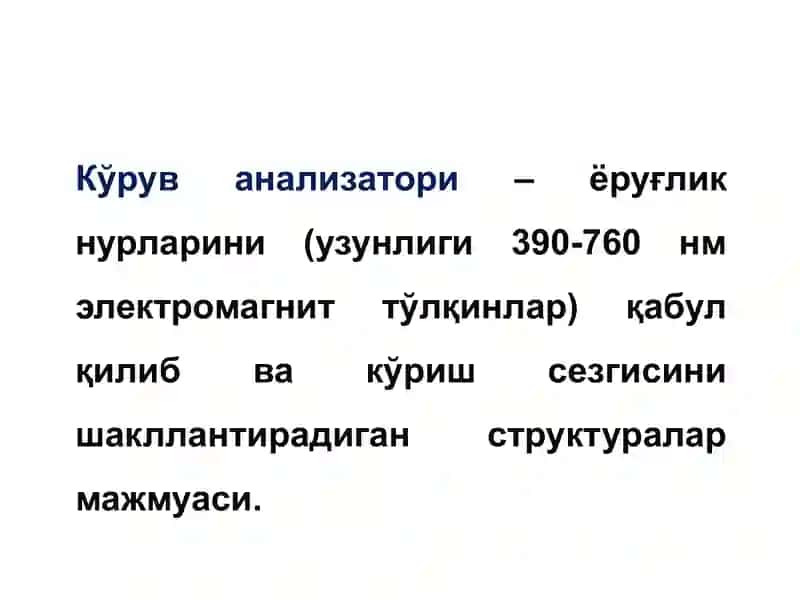 Кўзнинг тузилиши 3