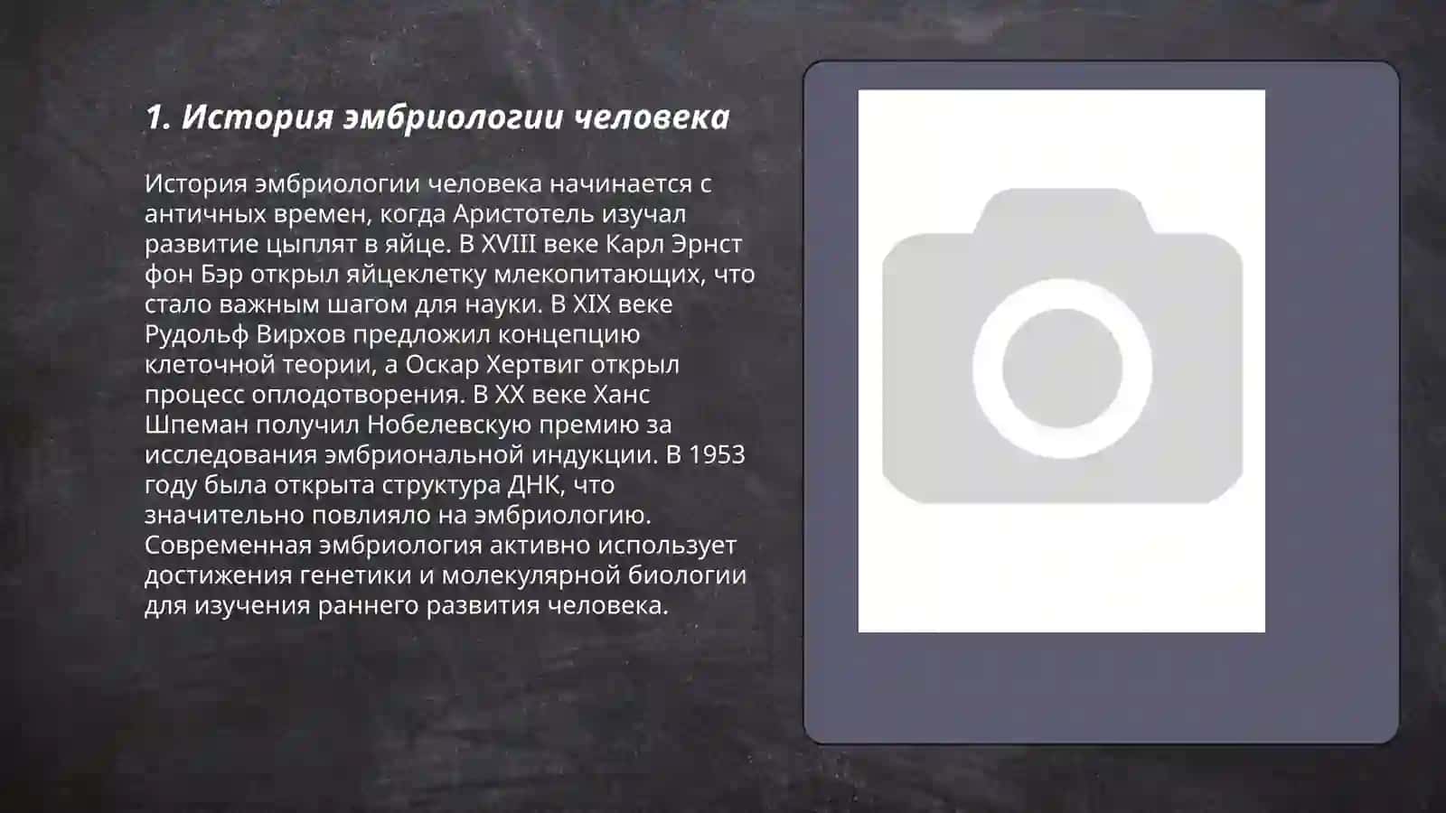 ЭМБРИОЛОГИЯ ЧЕЛОВЕКА 3
