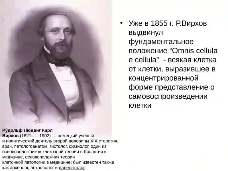 Цитология ва наследственность 3