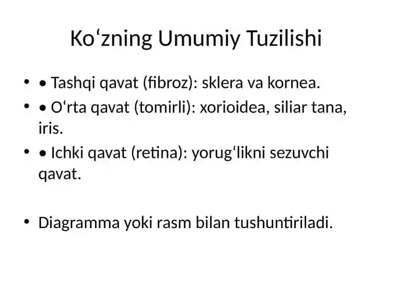 Ko‘z Gistologiyasi 3
