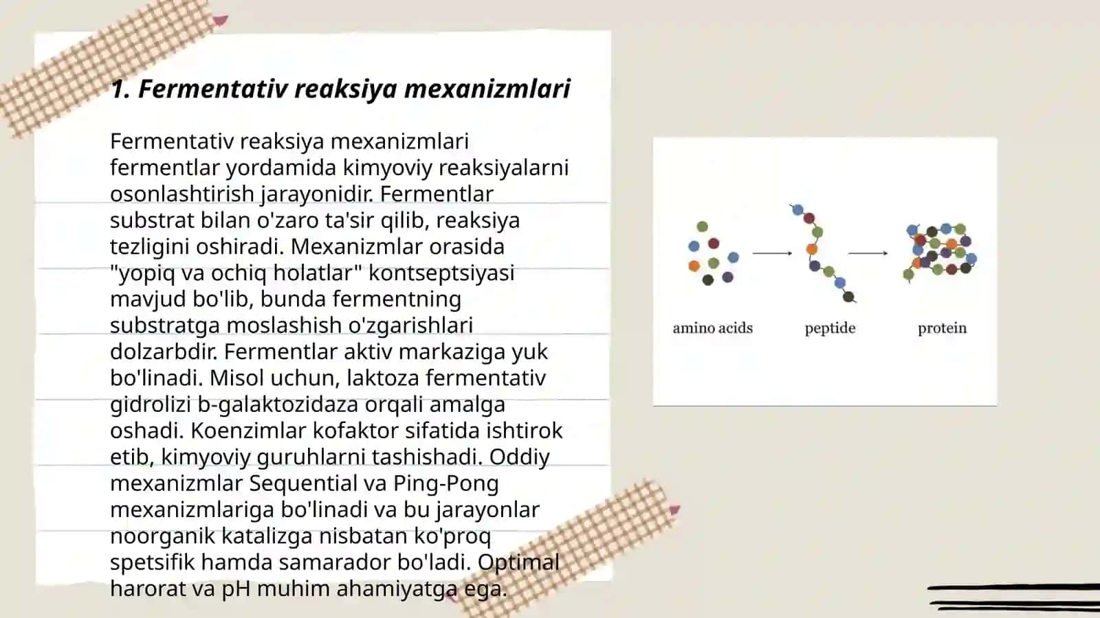 Fermentlar yordamida aminokislotalar sintezi 3