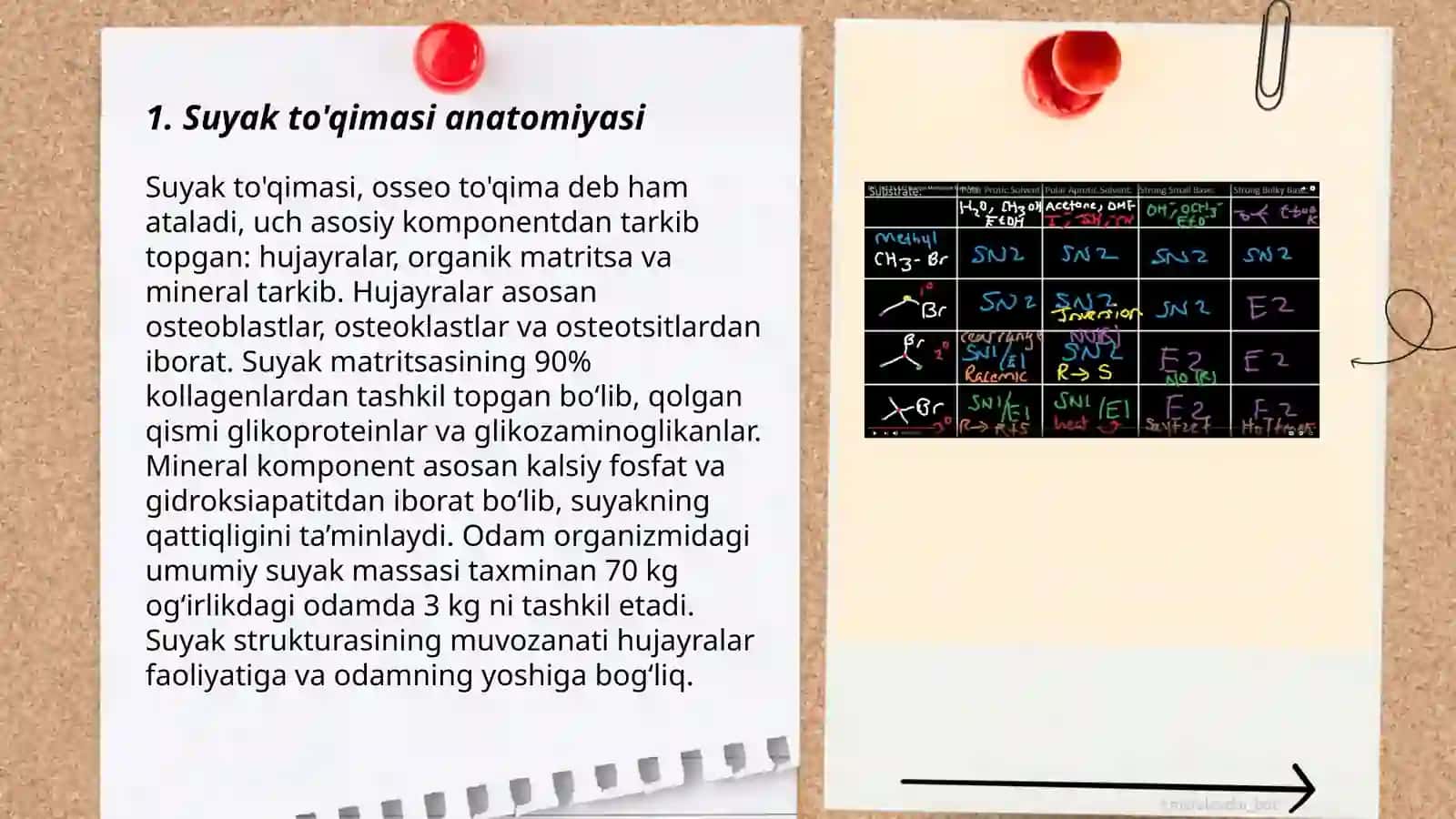 Suyak va tog’ay to’qima 3