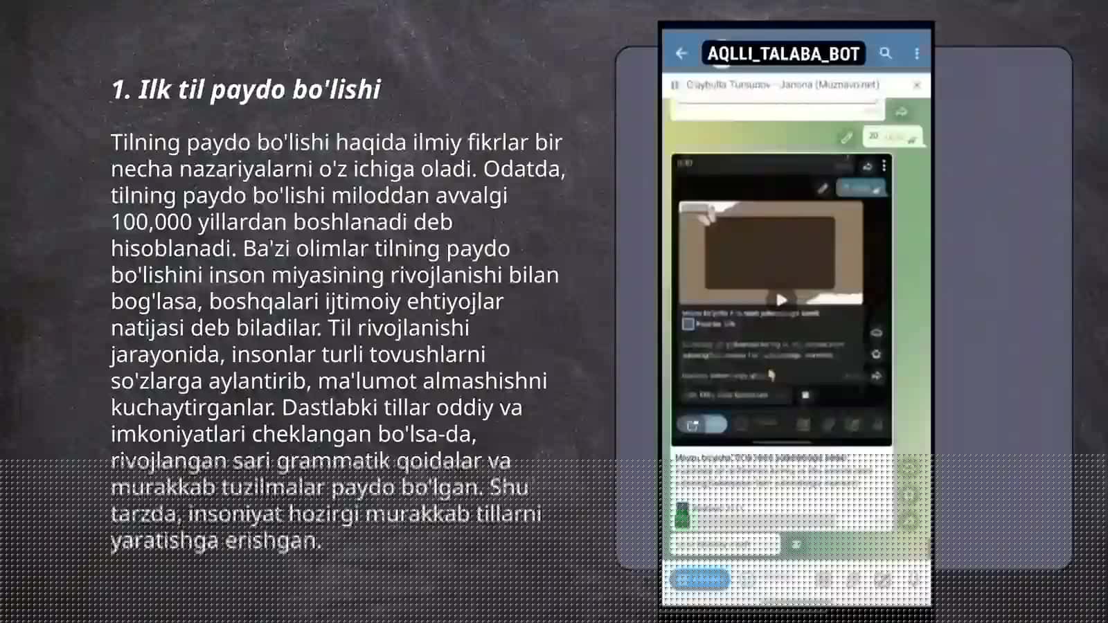 Til tarixi 3